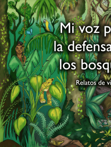 Mi Voz por la Defensa de los Bosques (2014)
