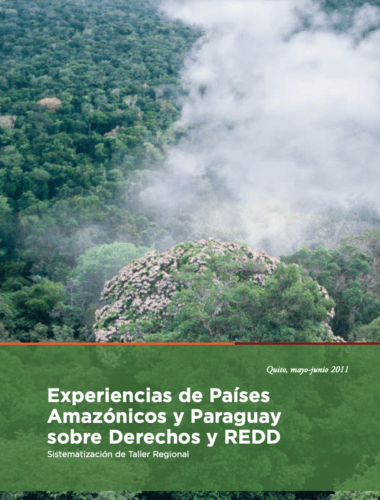 Experiencias de Países Amazónicos y Paraguay sobre Derechos y REDD (2011)
